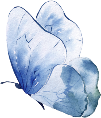 Blue butterfly, watercolor illustration